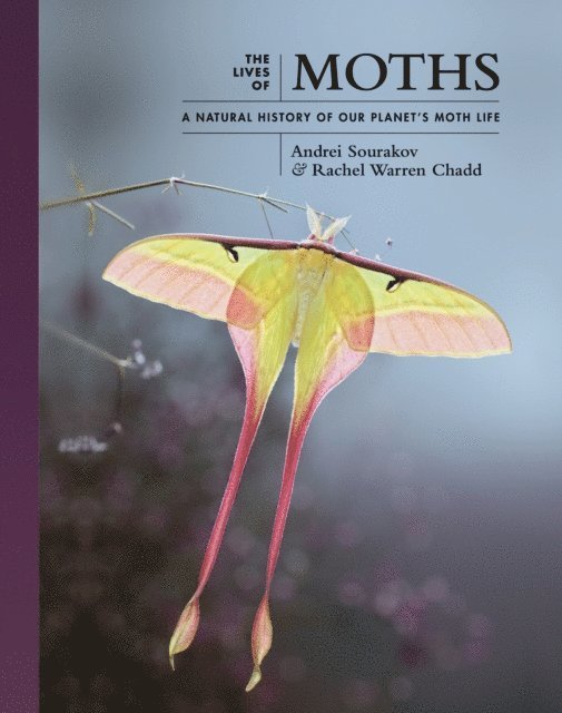 Rachel Warren Chadd, Andrei Sourakov - Lives of Moths, E-bok