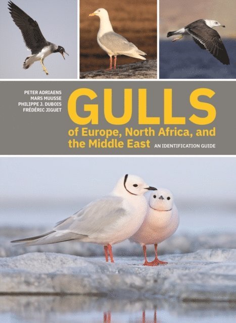 Frederic Jiguet, Philippe J. Dubois, Mars Muusse, Peter Adriaens - Gulls of Europe, North Africa, and the Middle East, E-bok