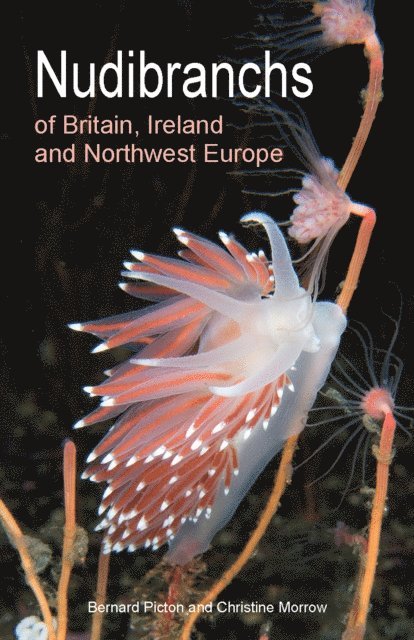 Christine Morrow, Bernard Picton - Nudibranchs of Britain, Ireland and Northwest Europe, E-bok