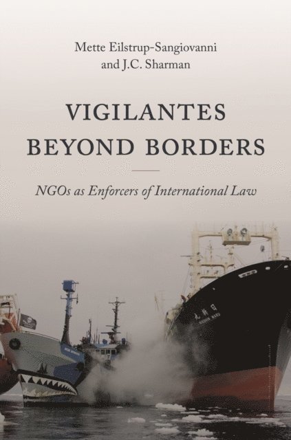 J. C. Sharman, Mette Eilstrup-Sangiovanni - Vigilantes beyond Borders, E-bok