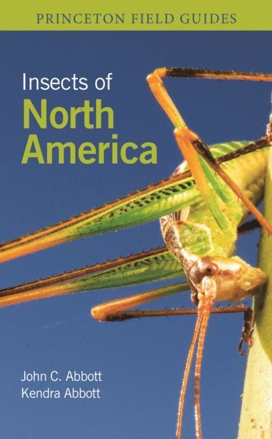 Kendra Abbott, John C. Abbott - Insects of North America, E-bok