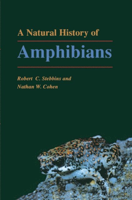 Nathan W. Cohen, Robert C. Stebbins - Natural History of Amphibians, E-bok