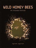 Wild Honey Bees: An Intimate Portrait