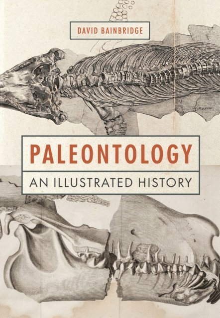 David Bainbridge - Paleontology, E-bok