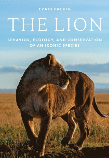 Craig Packer - Lion, E-bok
