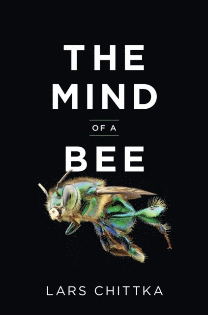 Lars Chittka - Mind of a Bee, E-bok