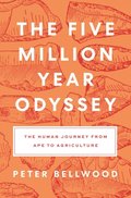 Five-Million-Year Odyssey