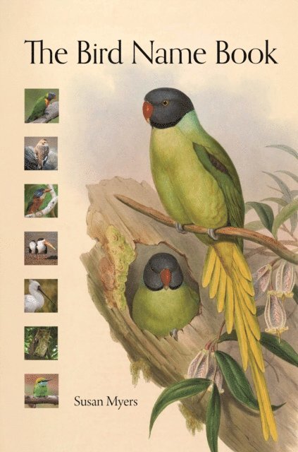 Susan Myers - Bird Name Book, E-bok