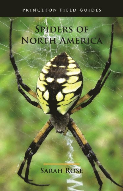 Sarah Rose - Spiders of North America, E-bok
