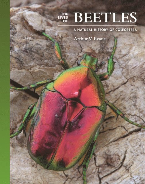 Arthur V. Evans - Lives of Beetles, E-bok
