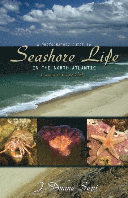 J. Duane Sept - Photographic Guide to Seashore Life in the North Atlantic, E-bok. Tillgänglighet: Lägg i varukorg