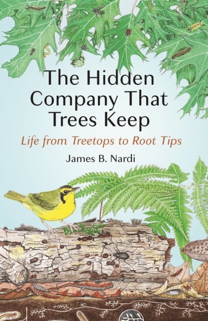 James B. Nardi - Hidden Company That Trees Keep, E-bok. Tillgänglighet: Lägg i varukorg