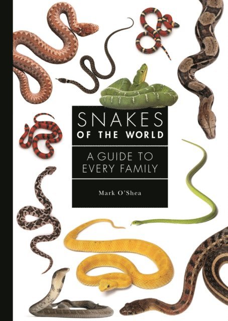 Mark O'Shea - Snakes of the World, E-bok