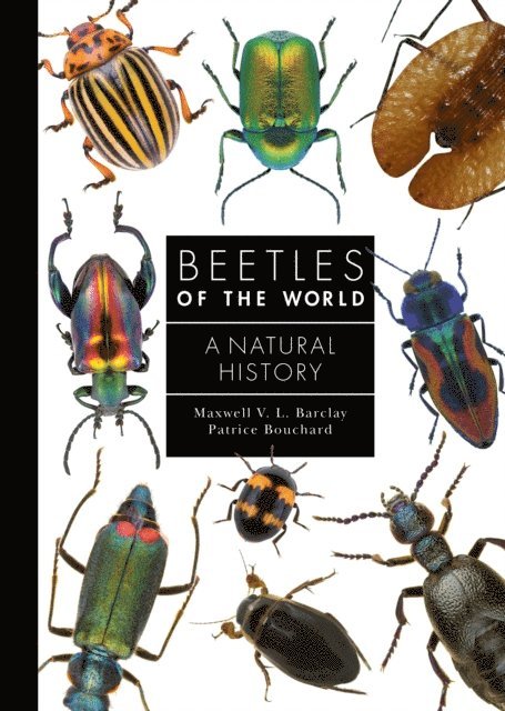 Patrice Bouchard, Maxwell V. L. Barclay - Beetles of the World, E-bok