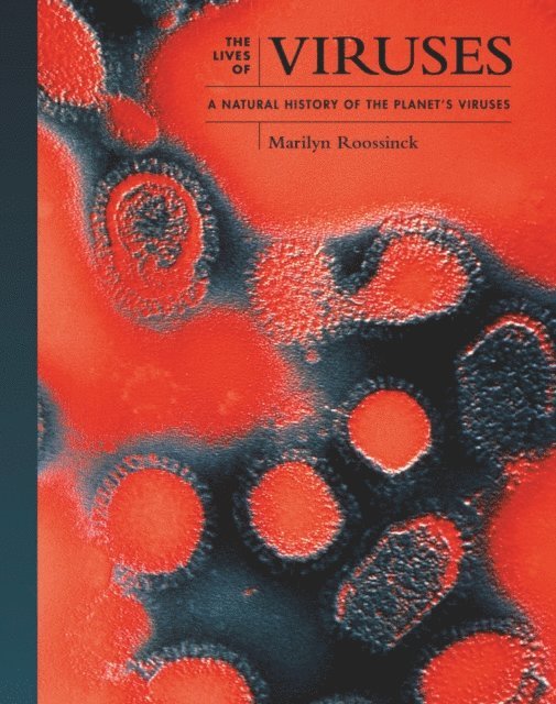 Marilyn J. Roossinck - VIRUSES, Inbunden