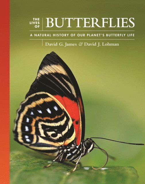 David J. Lohman, David G. James - Lives of Butterflies, E-bok