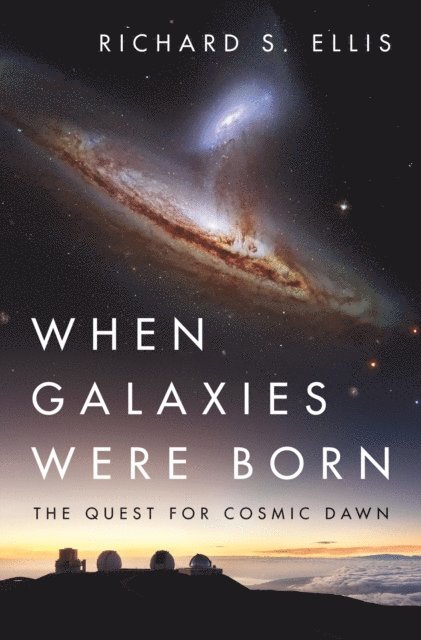 Richard S. Ellis - When Galaxies Were Born, E-bok