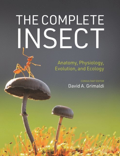 David A. Grimaldi - Complete Insect, E-bok