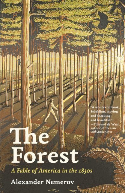Alexander Nemerov - Forest, E-bok