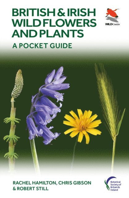 Robert Still, Chris Gibson, Rachel Hamilton - British and Irish Wild Flowers and Plants, E-bok