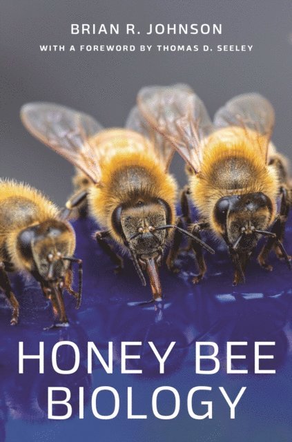 Brian R. Johnson - Honey Bee Biology, E-bok. Tillgänglighet: Lägg i varukorg