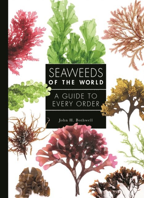 John Bothwell - Seaweeds of the World, E-bok