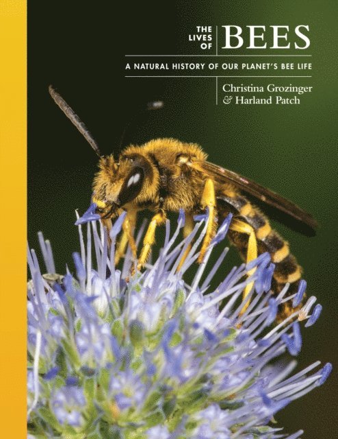 Harland Patch, Christina Grozinger - Lives of Bees, E-bok