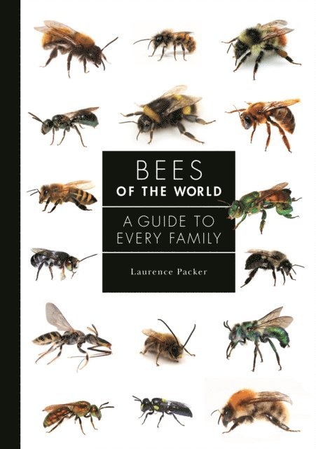 Laurence Packer - Bees of the World, E-bok