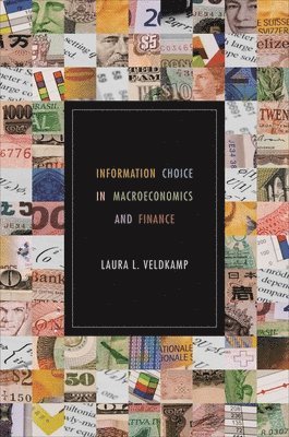 Laura L. Veldkamp - Information Choice in Macroeconomics and Finance, Häftad. Tillgänglighet: Lägg i varukorg