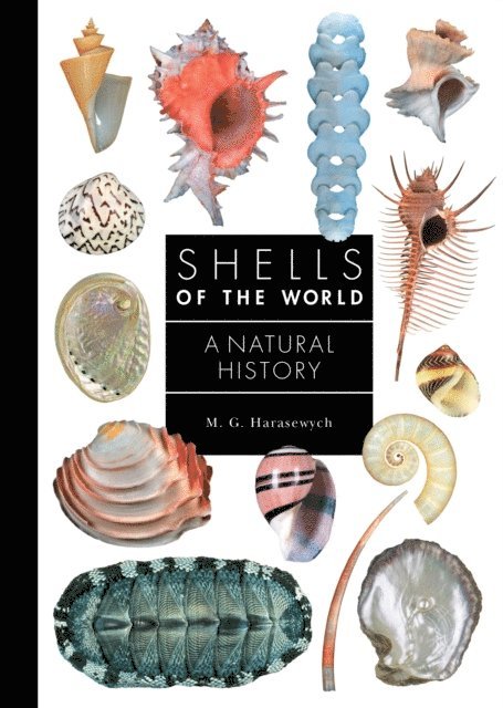 M. G. Harasewych - Shells of the World, E-bok