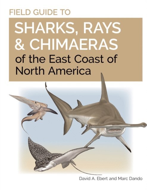 Marc Dando, David A. Ebert - Field Guide to Sharks, Rays and Chimaeras of the East Coast of North America, E-bok