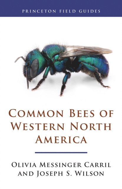 Joseph S. Wilson, Olivia Messinger Carril - Common Bees of Western North America, E-bok