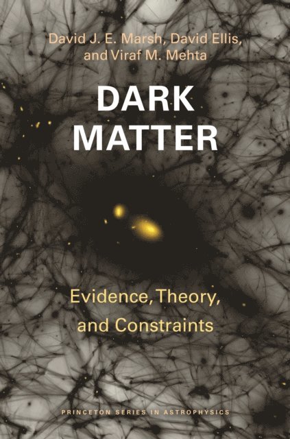 Viraf M. Mehta, David Ellis, David J. E. Marsh - Dark Matter, E-bok