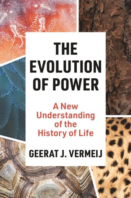 Geerat Vermeij - Evolution of Power, E-bok
