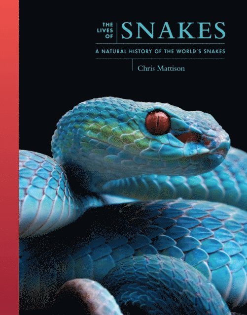 Chris Mattison - Lives of Snakes, E-bok