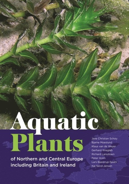Kaj Sand-Jensen, Lars Baastrup-Spohr, Peter Holm, Richard V. Lansdown, Gerhard Wiegleb, Klaus van de Weyer, Bjarne Moeslund, Jens Christian Schou - Aquatic Plants of Northern and Central Europe including Britain and Ireland, E-bok