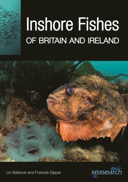 Frances Dipper, Lin Baldock - Inshore Fishes of Britain and Ireland, E-bok