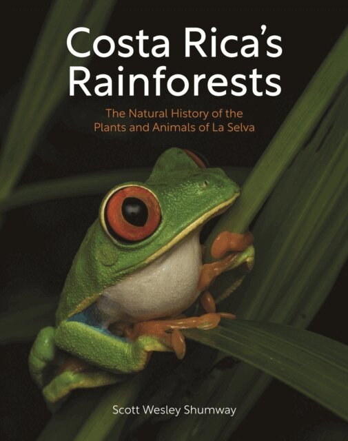 Costa Rica's Rainforests