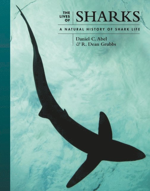 R. Dean Grubbs, Daniel C Abel - Lives of Sharks, E-bok
