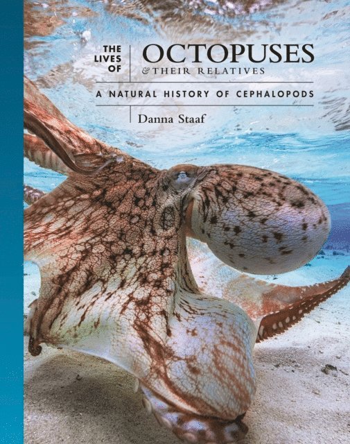 Danna Staaf - Lives of Octopuses and Their Relatives, E-bok