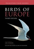 Birds Of Europe