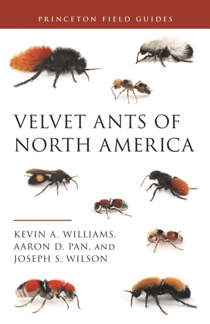 Joseph S. Wilson, Aaron D. Pan, Kevin Williams - Velvet Ants of North America, E-bok