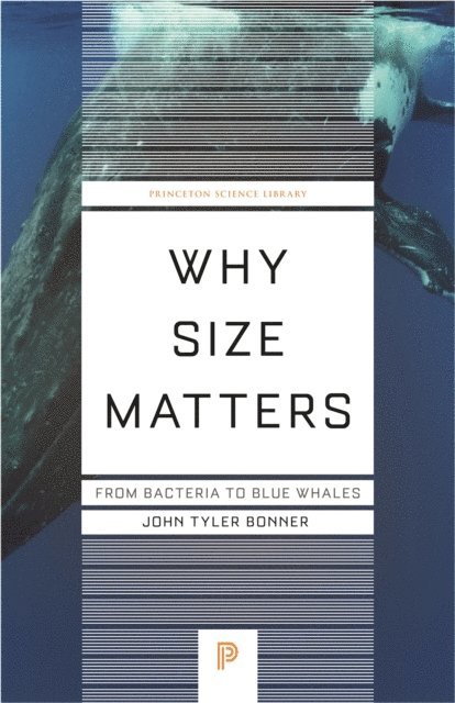 John Tyler Bonner - Why Size Matters, E-bok