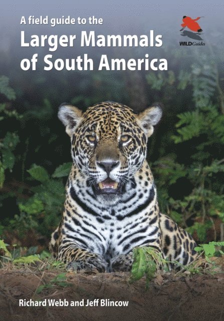 Jeff Blincow, Richard Webb - Field Guide to the Larger Mammals of South America, E-bok