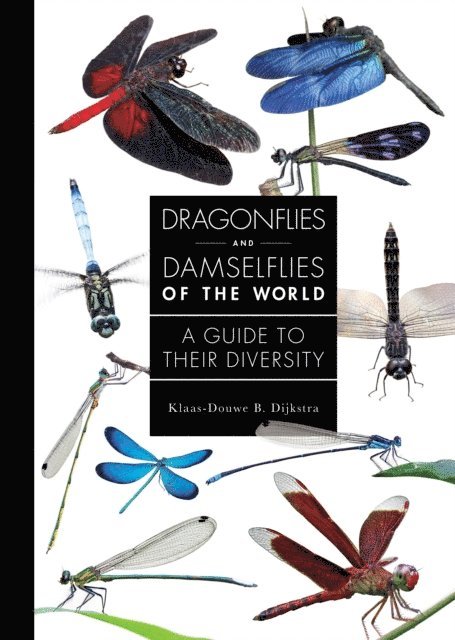 Klaas-Douwe B. Dijkstra - Dragonflies and Damselflies of the World, E-bok