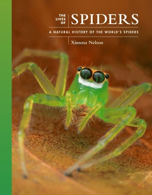 Ximena Nelson - Lives of Spiders, E-bok