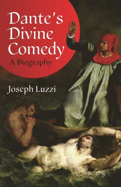 Joseph Luzzi - Dante's Divine Comedy, E-bok