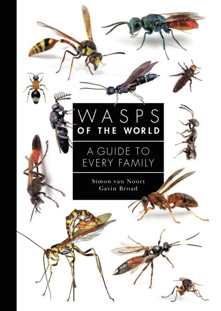 Gavin Broad, Simon van Noort - Wasps of the World, E-bok