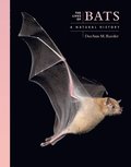 Lives of Bats