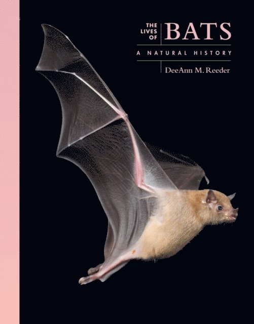 DeeAnn M. Reeder - Lives of Bats, E-bok
